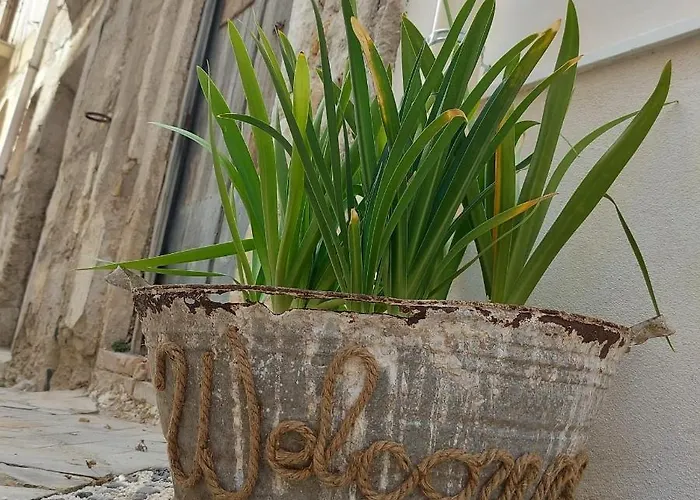 Sogno E Luce Pensión 4*